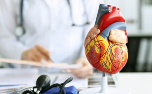 画像：心臓リハビリを行っており、効果的なリハビリプログラムを提案